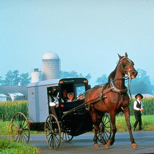 A Taste of Amish Country