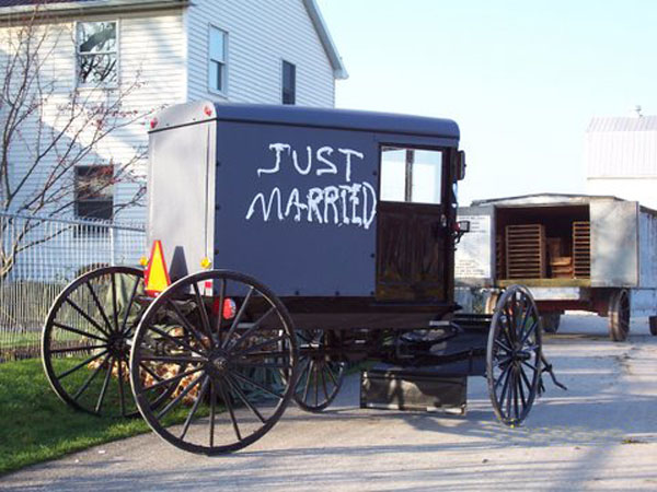 Amish Wedding Celebration