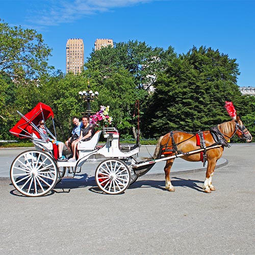 Central Park Carriage Ride Featuring Lunch at Tavern on the Green