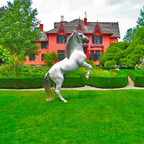 Royal Lipizzaner Stallions Performing at the Historic Roseland Cottage