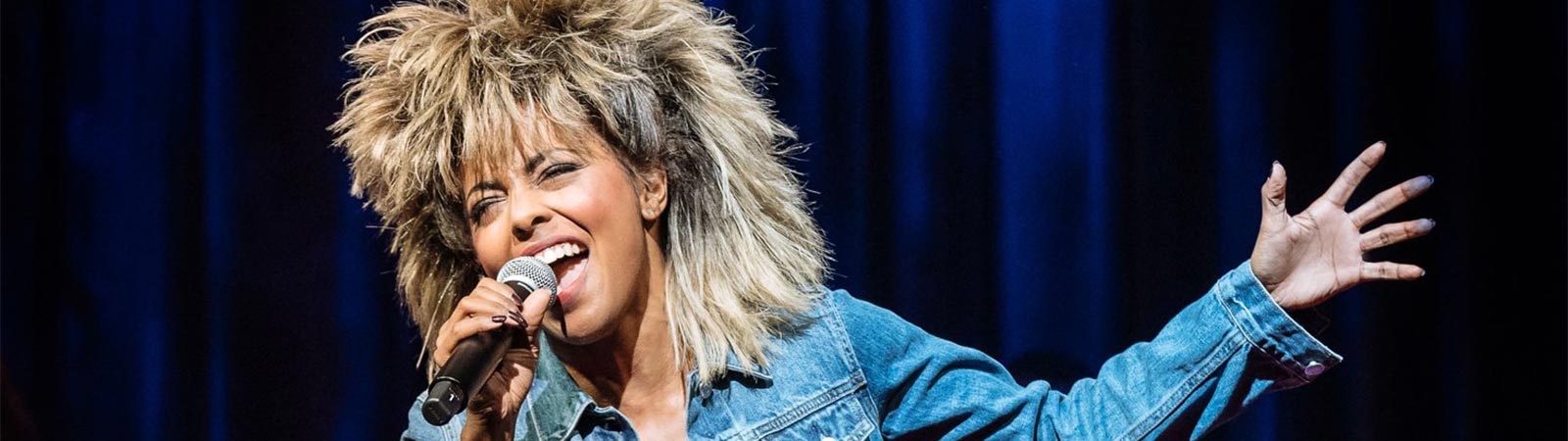 Tina Turner Live in Concert