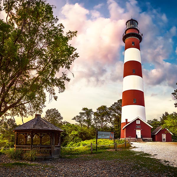 Explore Ocean City and Assateague Island - Sun, Surf, Sand and Wild Ponies