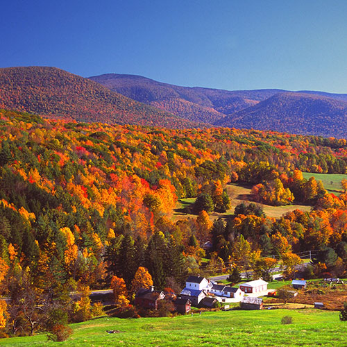 Best of The Berkshires