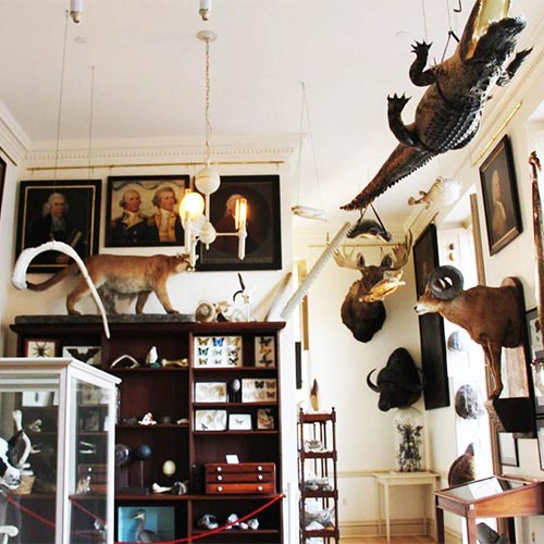 The Museum of Oddities at The Old Connecticut State House