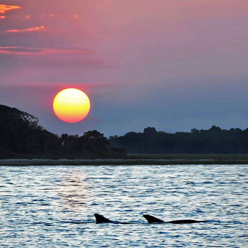 The Golden Isles