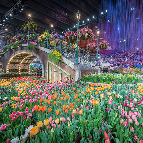 The Philadelphia Flower Show