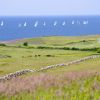 Explore Scenic Block Island