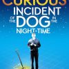 The Curious Incident of the Dog in the Night-Time - 