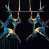 Cirque du Soleil Paramour - 