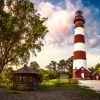 Explore Ocean City and Assateague Island - 